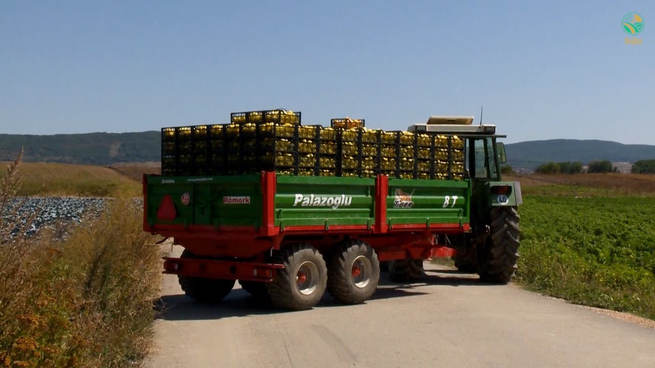 BUJKU &ndash; Albini Shpk kete stine ka eksportuar 400 tone spece per Suedi, France, Zvicerr e Itali