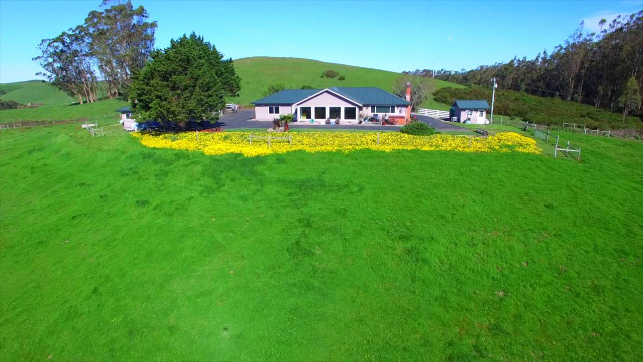 400 Estero Lane  Bodega, CA 94922