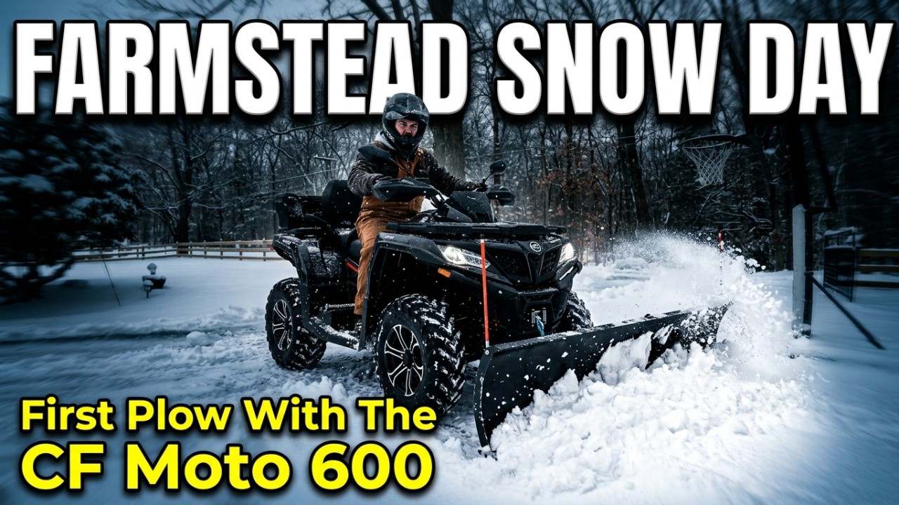 Snow Day on the Farmstead! Chores & testing the new plow setup on the CF Moto C Force 600