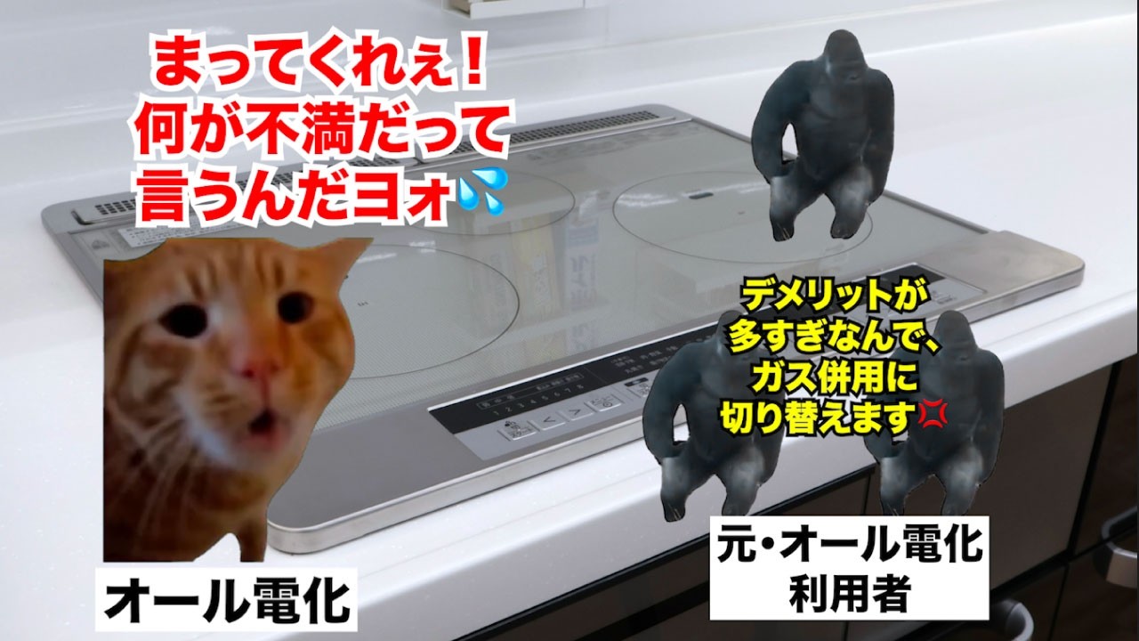 【オール電化】安物買いの銭失い！？オール電化からガス併用への切り替えが急増してる理由 #猫マニ #猫ミーム