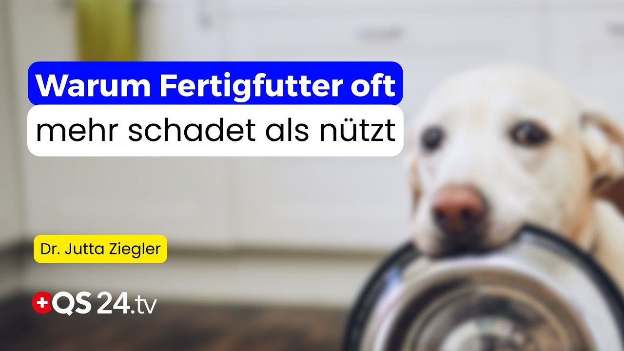 Wenn Futter krank macht – Die häufigsten Fehler bei der Tierfütterung | Naturmedizin | QS24