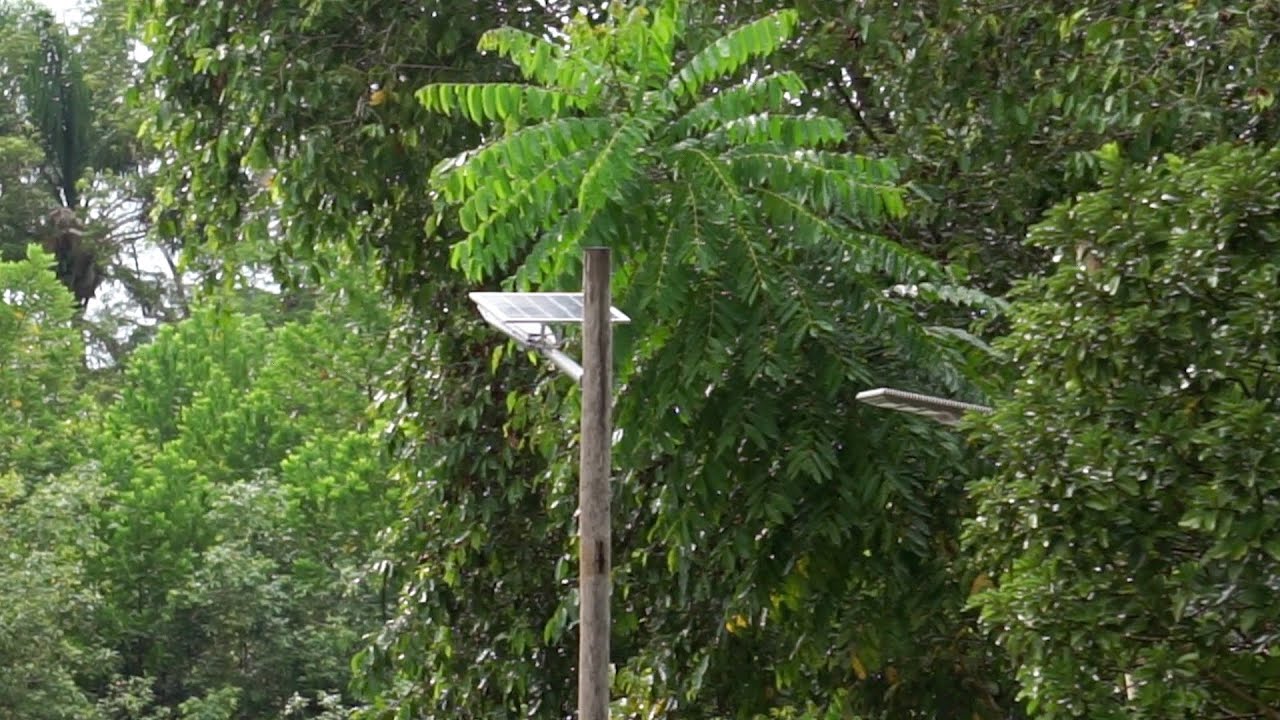 Lighting up Guyana village in the forest by solar power