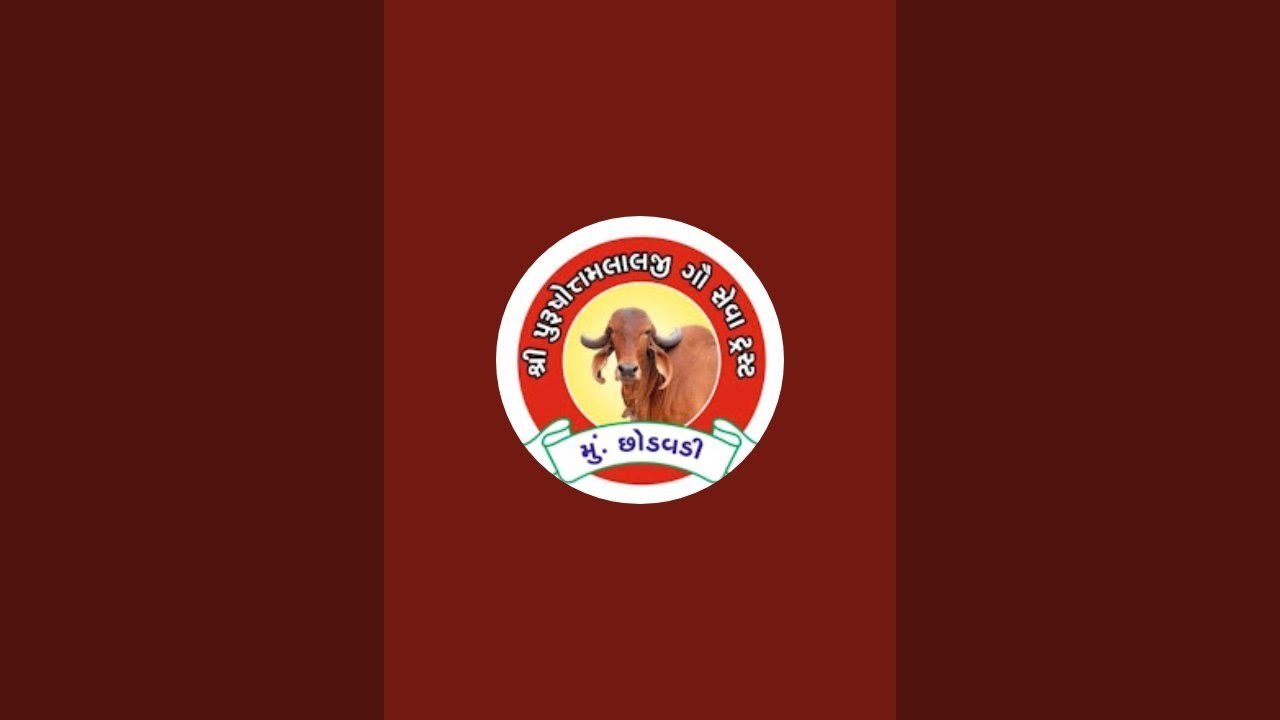 | શ્રી પુરુષોત્તમ લાલજી ગૌશાળા ધૂન મંડળ છોડવડી 🙏| @dhunmandal_chhodavdi #dhun #bhajan #kartal #live