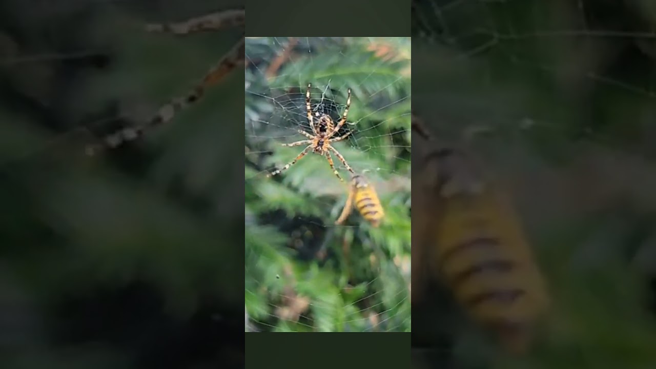 #fight