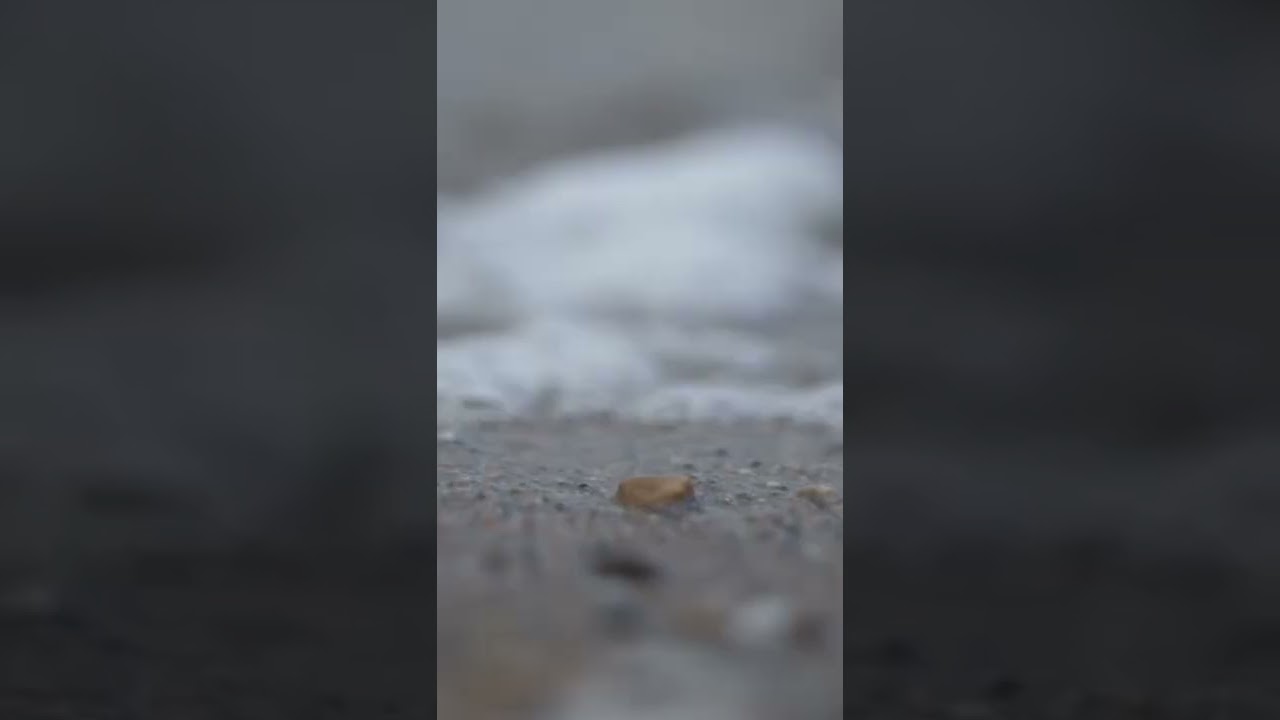 Overcast Beach