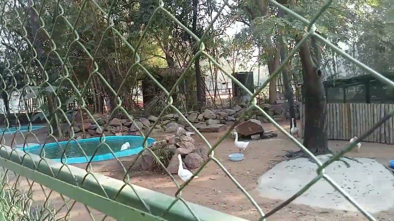 #Nehru Zoological Park
