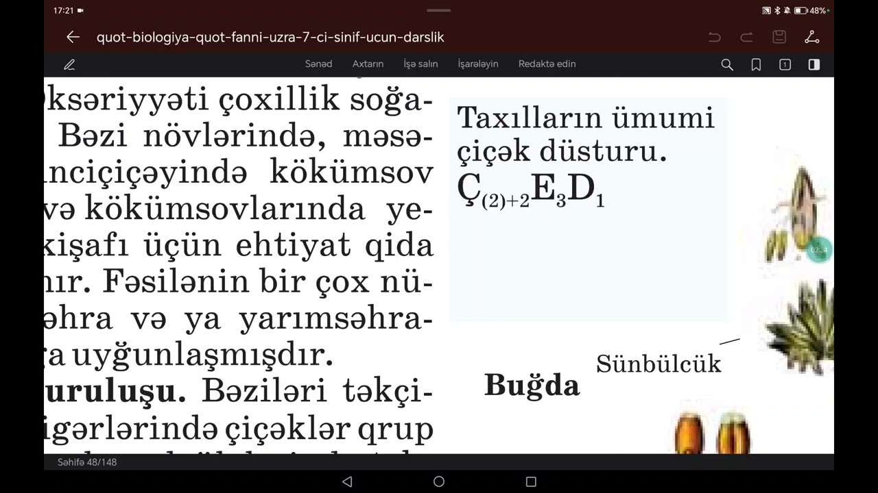 Birləpəlilər sinifi. Taxıllar ve zanbaqlar fəsiləsi. Dərman bitkiləri 