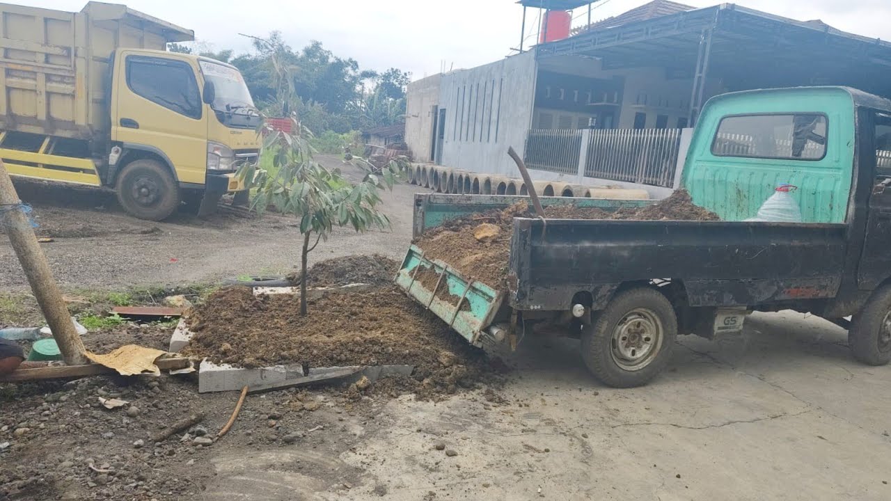 langsir dari sawah