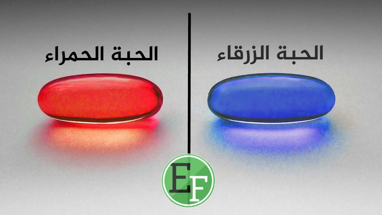 5 أسئلة محرجة تكشف شخصية أي إنسان ، جرب بنفسك !