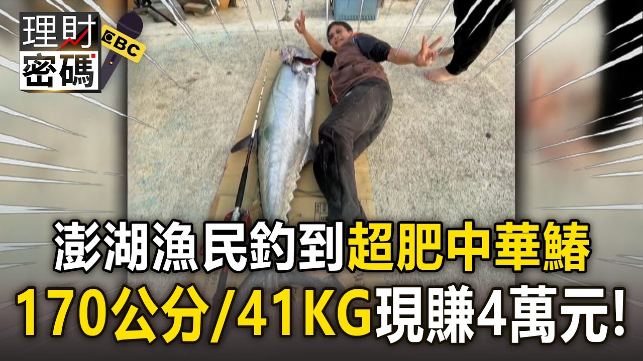 澎湖漁民「釣到170公分超肥中華鰆」！重達41KG「魚身逼近人身高」現賺四萬台幣！【理財密碼】