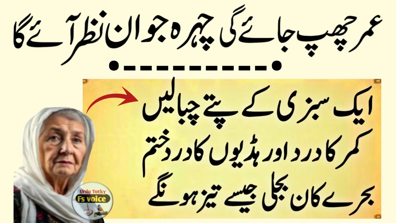 Quotes About life | Rumi Quotes in Urdu | Motivational Islamic Quotes | Golden Words | Hazrat Ali
