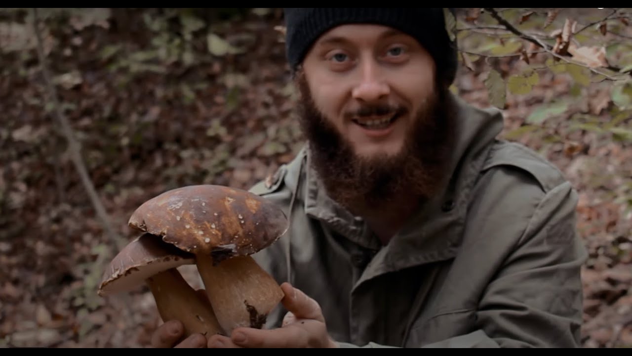 Berba Vrganja 🍄 | Kraljevski Pronalazak 👑