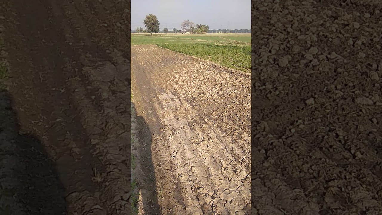 गंधक काईम तेजाबी ओर रंगीन माल तियार करे 2
