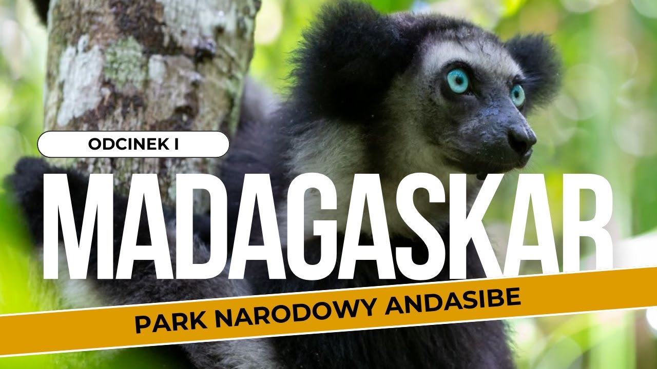 MADAGASKAR 🇲🇬 Park Narodowy Andasibe🐒 🦎