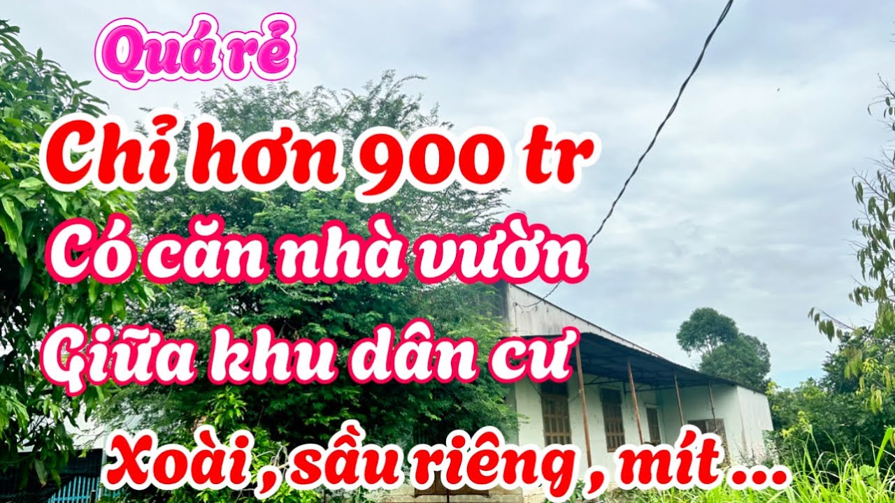 Giá đình khó khăn. Bán gấp nhà vườn 1000m2 cây trái đủ loại giữa khu dân cư đông. Giá hơn 900 tr