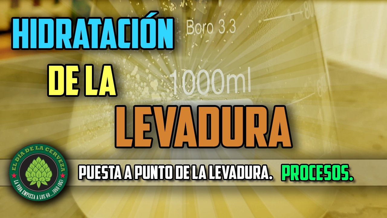 Cómo hacer Cerveza Artesanal en Casa. CÓMO HIDRATAR LA LEVADURA.