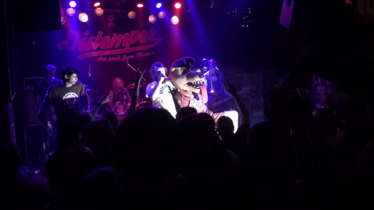 Distemper 4/5 - Live @ Clash - Berlin 2018