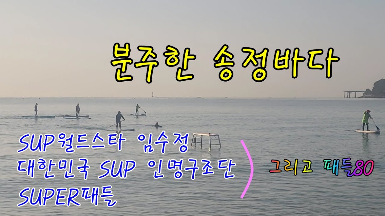 분주한 송정바다 (2026/01/17)