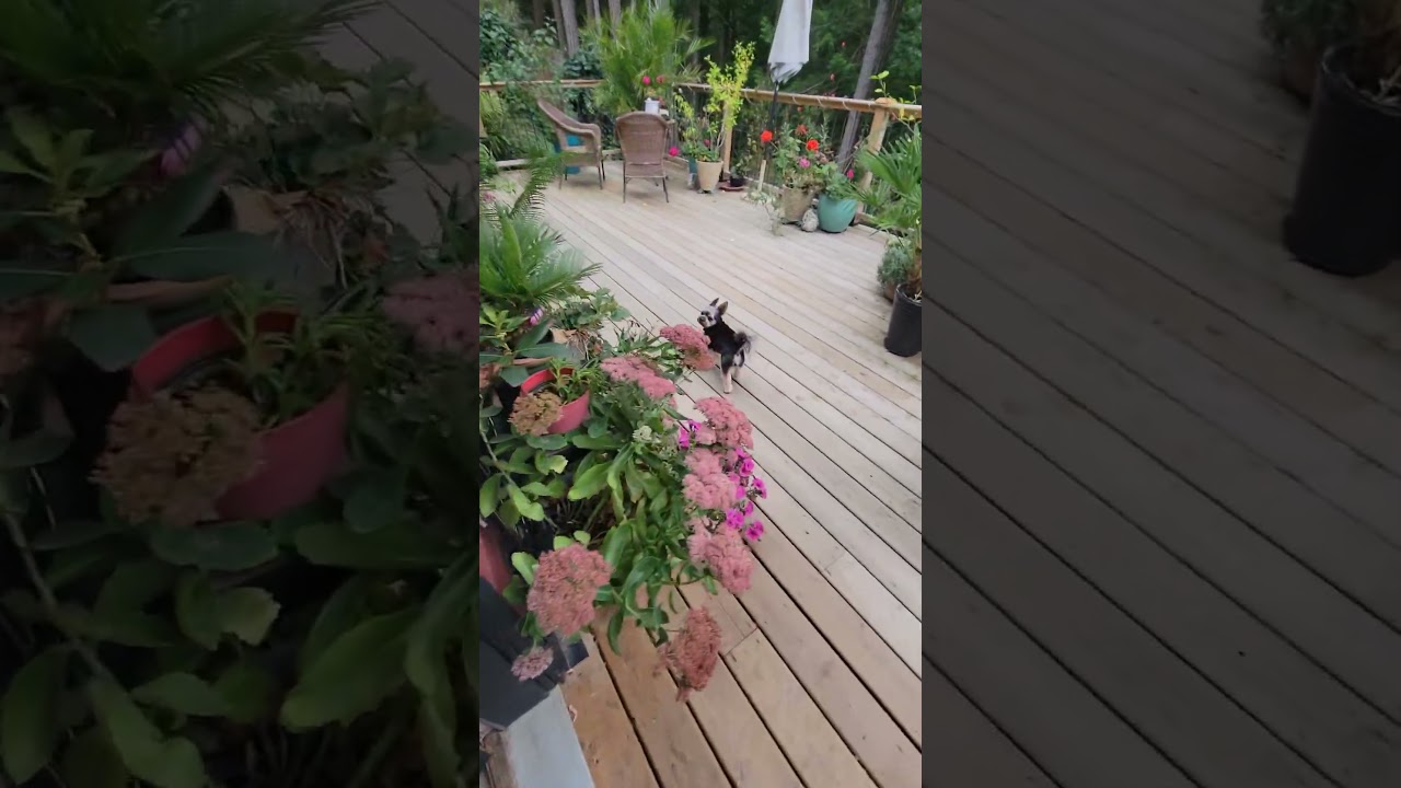 Изменение погоды на этом маленьком острове 🏝 в Канаде 🌴