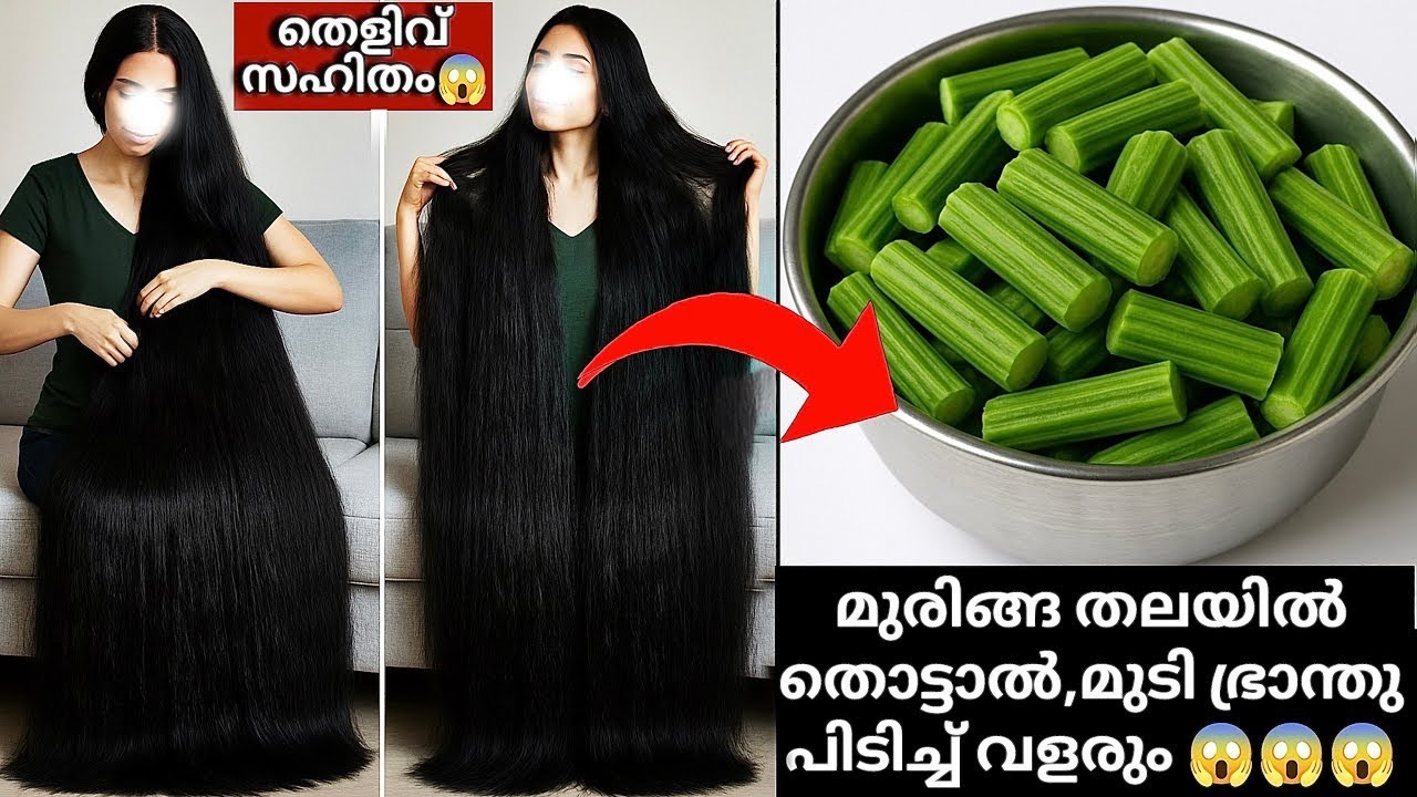 മുരിങ്ങ തലയിൽ തൊട്ടാൽ മതി,ഏത് കഷണ്ടിയിലും മുടി ഭ്രാന്തുപിടിച്ചു വളരും👌 Hair Growth Oil 