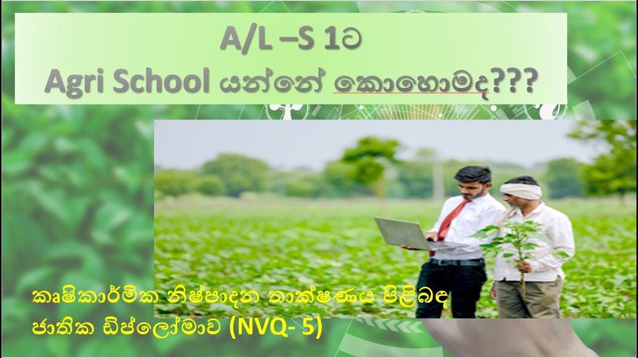 උසස් පෙළ s1 ට  agri school  යන්නෙ කොහොමද? |කෘෂි විද්‍යාලය ගැන හැමදේම  | #කෘෂි පාසල |#Agri school