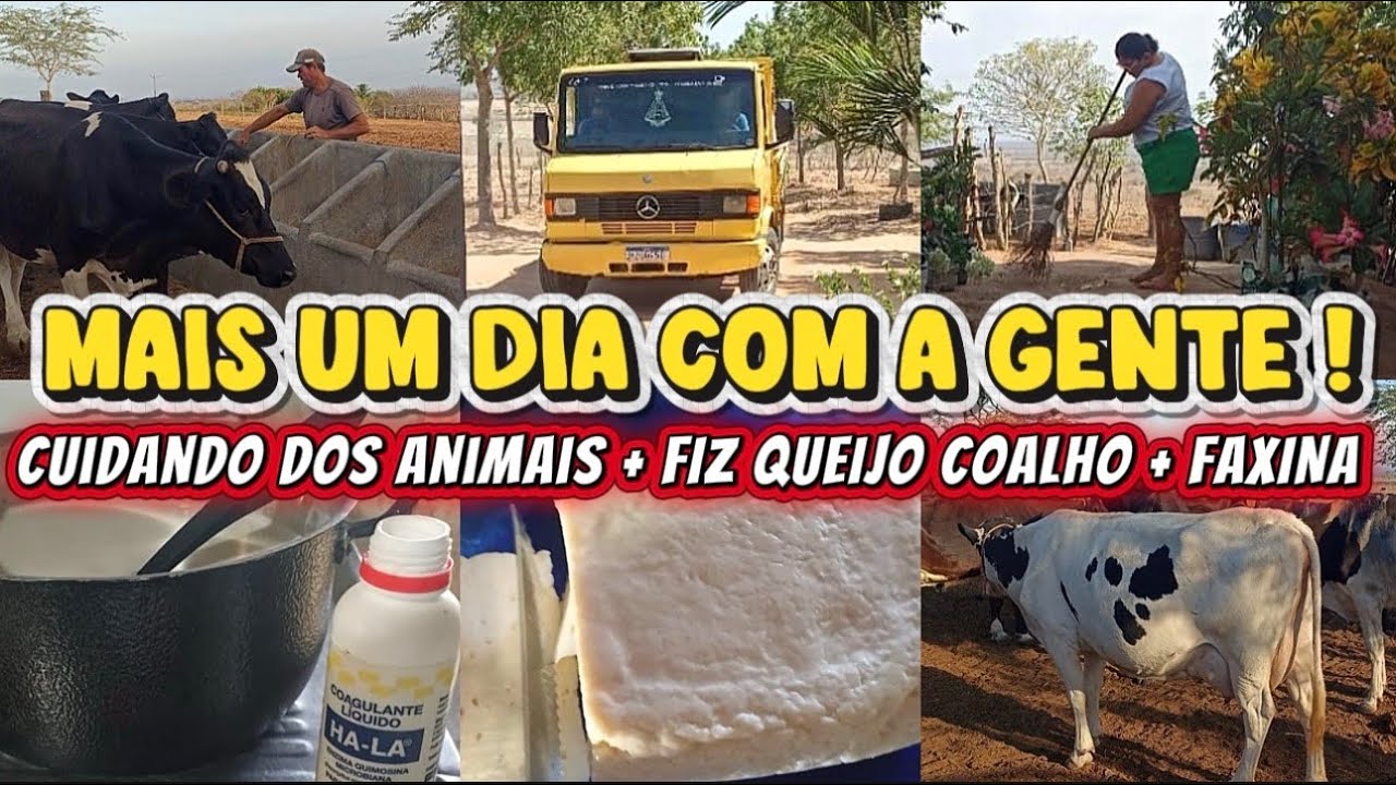 DIA DE FAXINA + FIZ QUEIJO COALHO + ENTREGA DE RAÇÃO 