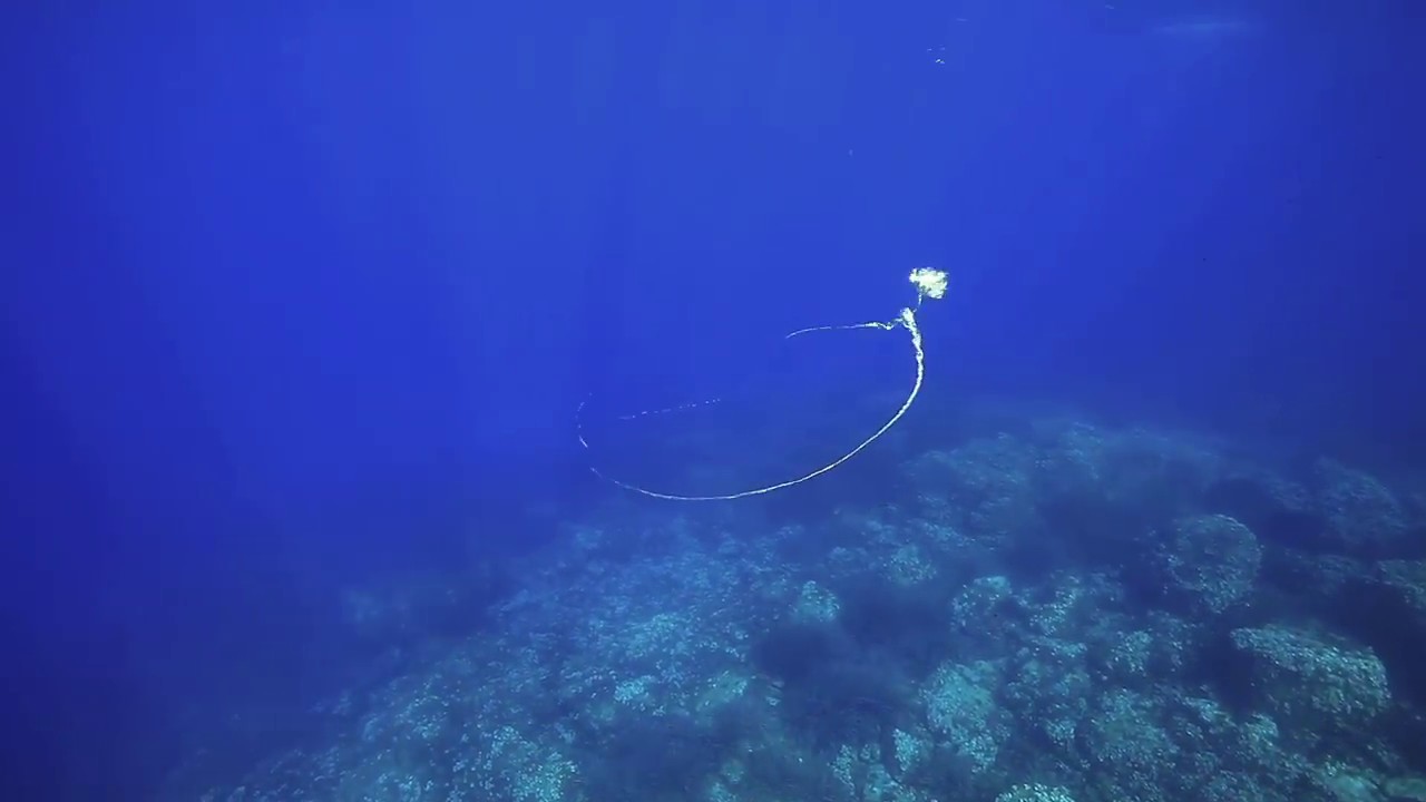 Are you in the mood for Freediving with Stephane Mifsud ? (W.R static 11'35