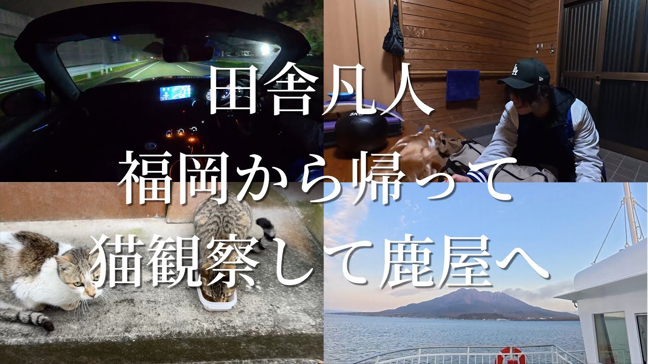 【Vlog】いなかぼん、移動・猫観察・移動な日常