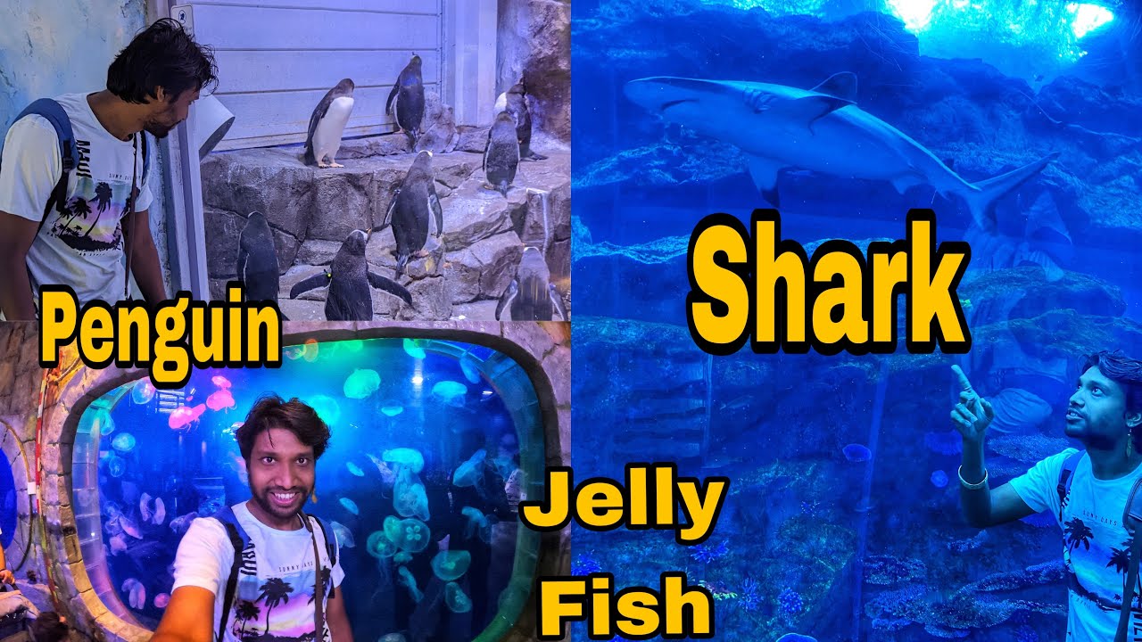 Pehli baar SHARK,PENGUINS aur JELLY FISH dekha 🙀😳😍l Dubai Mall l Dubai Aquarium & Underwater Zoo