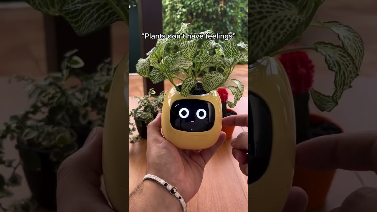 Smart Plant Pot
