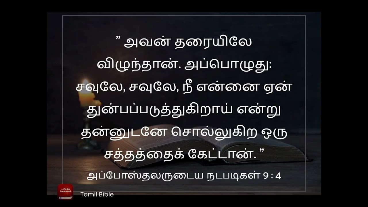 பவுல்