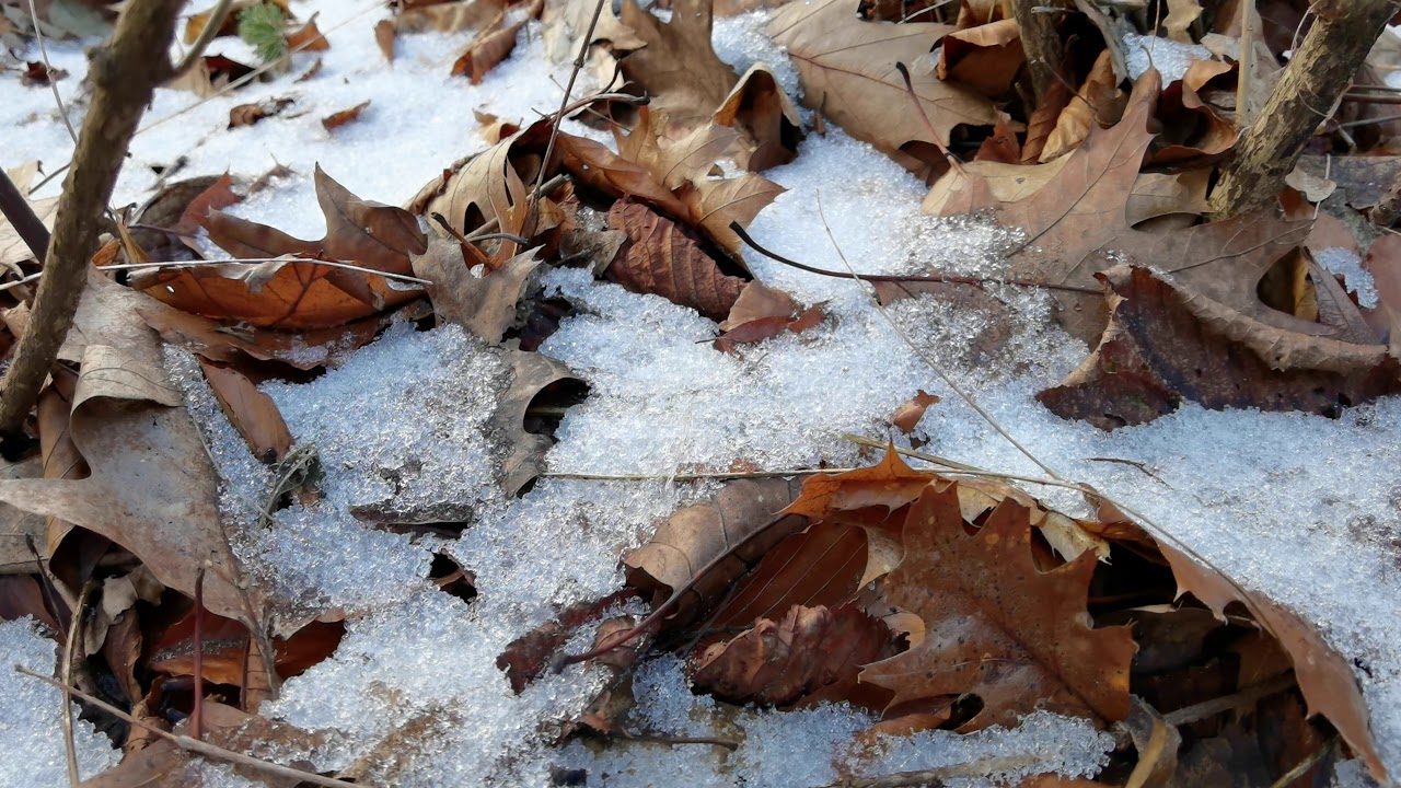 Snow on the floor huawei p40 pro 4k 2021