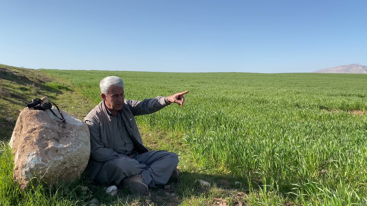 یەکێک لە یادگاریەکانی پارتیزانی لەگەڵ فەرماندە شەھید حەمەڕەش بەشی یەکەم