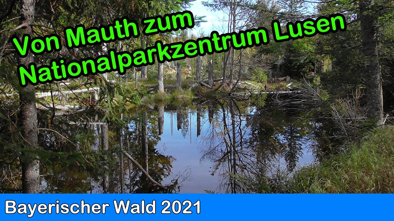 Bayerischer Wald - Von Mauth zum Nationalparkzentrum Lusen