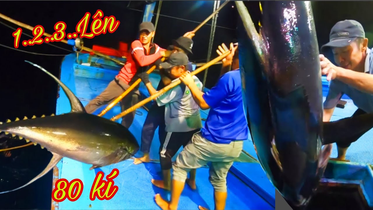 GỒNG MÌNH Kéo Cá Ngừ Khổng Lồ 80 Kg Lên Ghe_Món Vi Cá Cờ Kiếm Ngon Hết Sảy_CÂU CÁ BIỂN TRƯỜNG SA 12