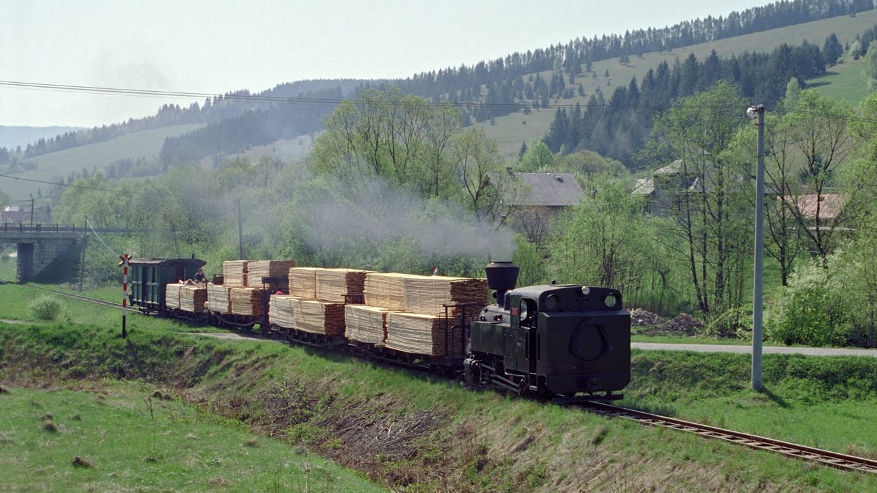 ČHŽ - nákladní vlak se dřevem z pily Jánošovka dne 7.5.2003