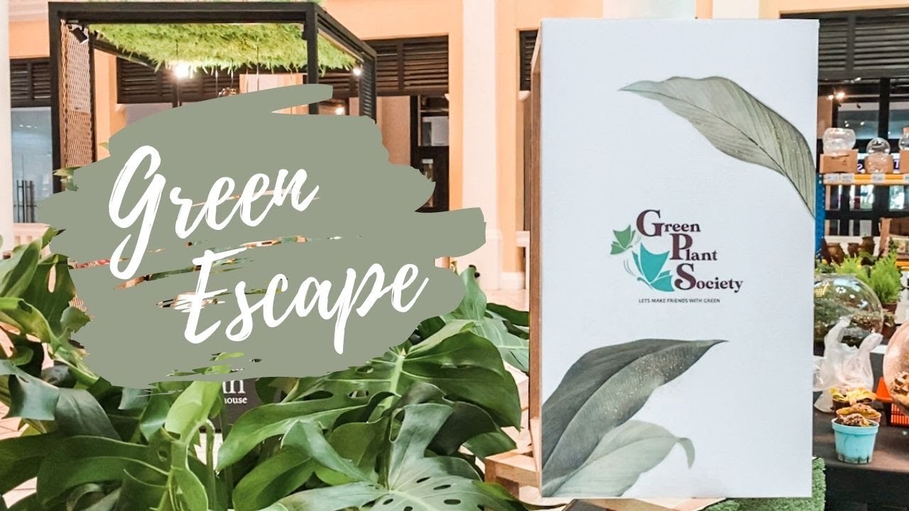 GREEN ESCAPE RECAP VIDEO｜GREEN PLANT SOCIETY