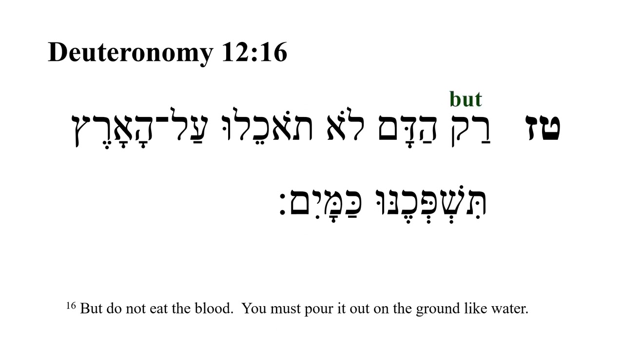 Deuteronomy 12 -- Hebrew Bible Speaker with English Captions