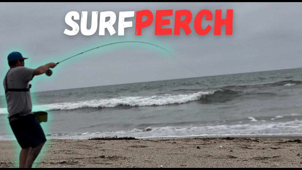 Fly Fishing California - How to Catch Surf Perch on the Fly