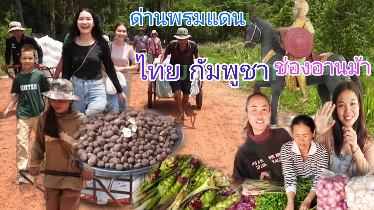 #ตลาดนัด#ด่านพรมแดน#ไทย #กัมพูชา #ช่องอานม้า #อาหารพื้นบ้าน#อาหารป่า#เห็ดเผาะ#อึ่งเผ้า #កម្ពុជា។
