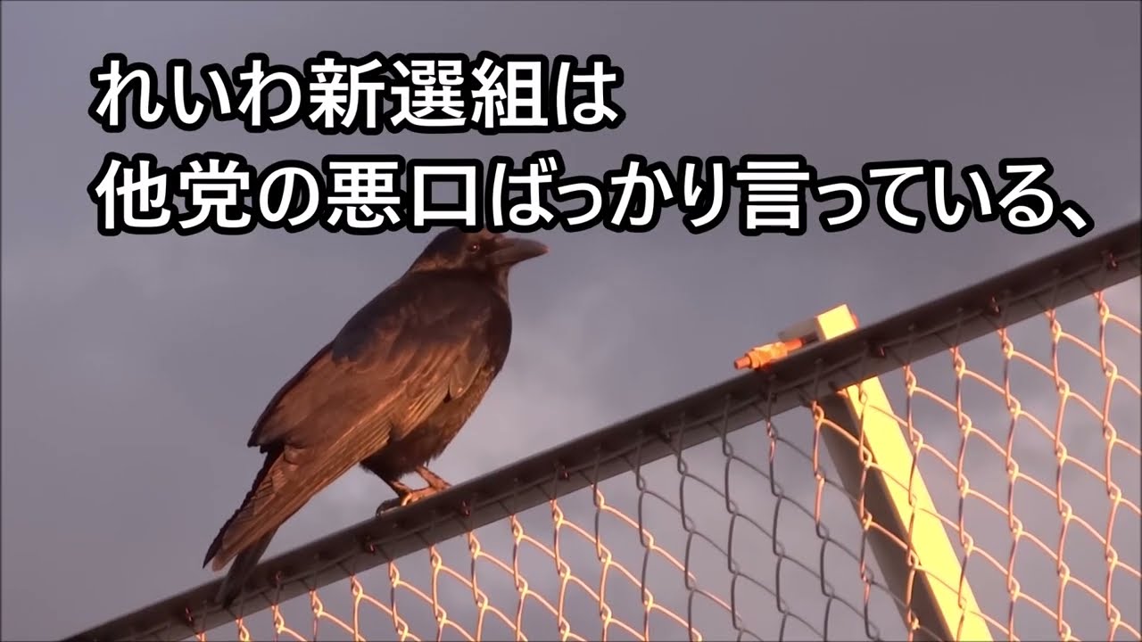 俺たちがやってるのは学級会じゃないですよ。