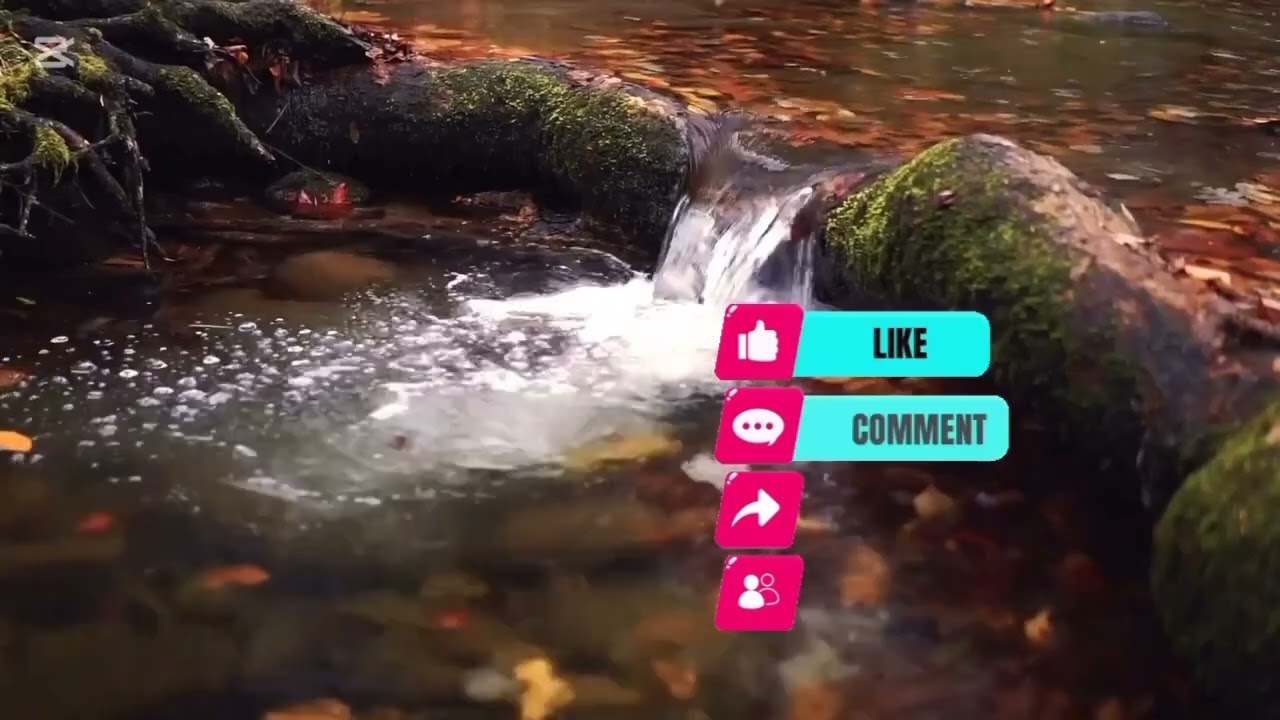 ایسی اور ویڈیوز دیکھنے کے لیےہمارا یوٹیوب چینل سبسکرائب کرنا نہ بھولیں 