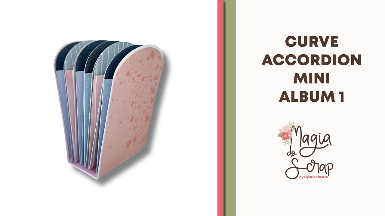 Curve Accordion Mini Album 1