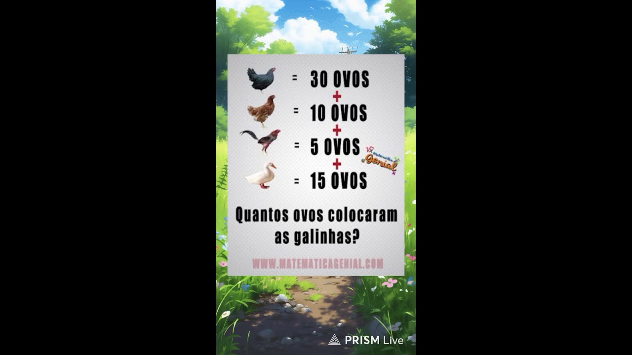Quantos ovos colocaram as galinhas? Live...