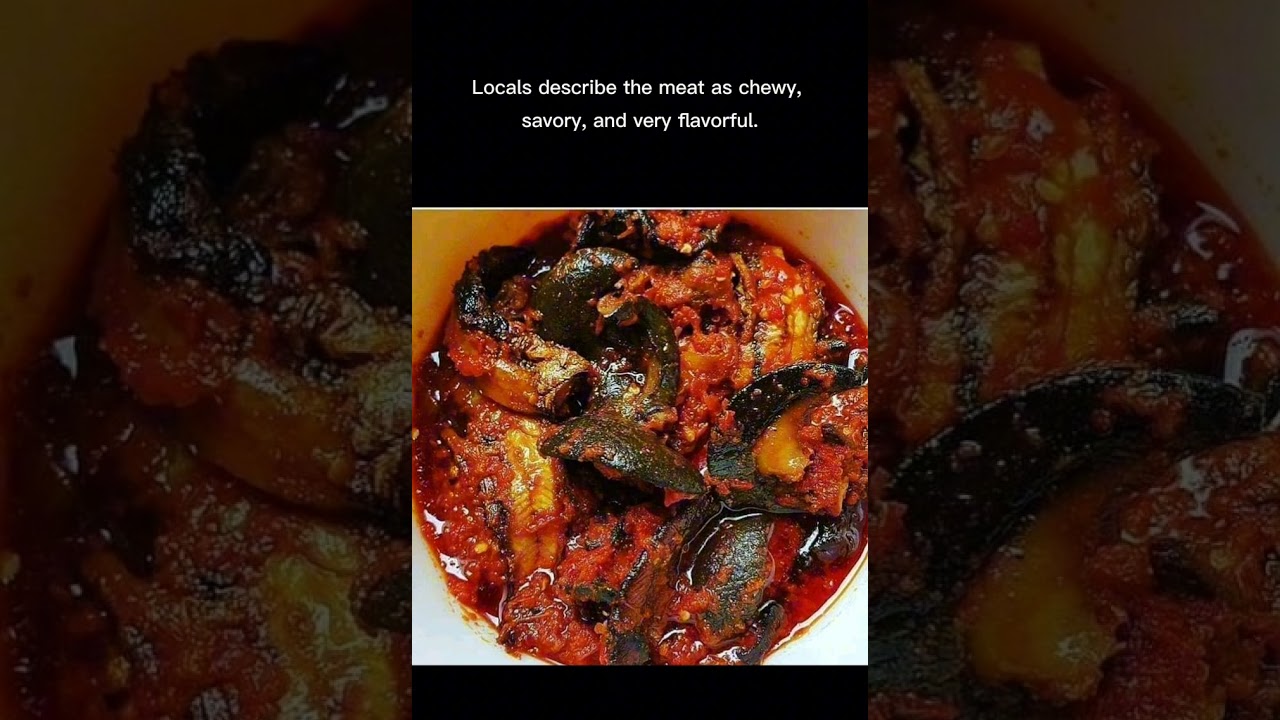 Yes — people eat giant snails #strangestfoods