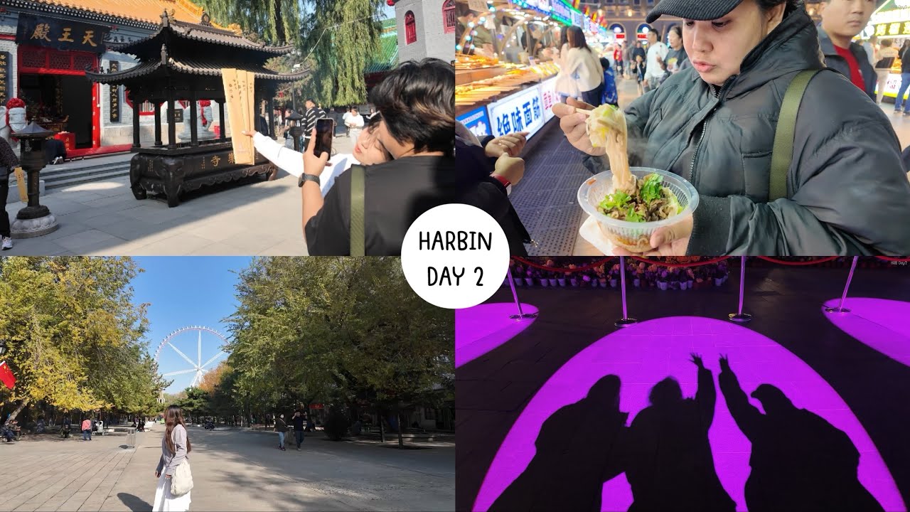 ฮาร์บินวันที่สองเดินไป15โล!! | Harbin 2024 🇨🇳