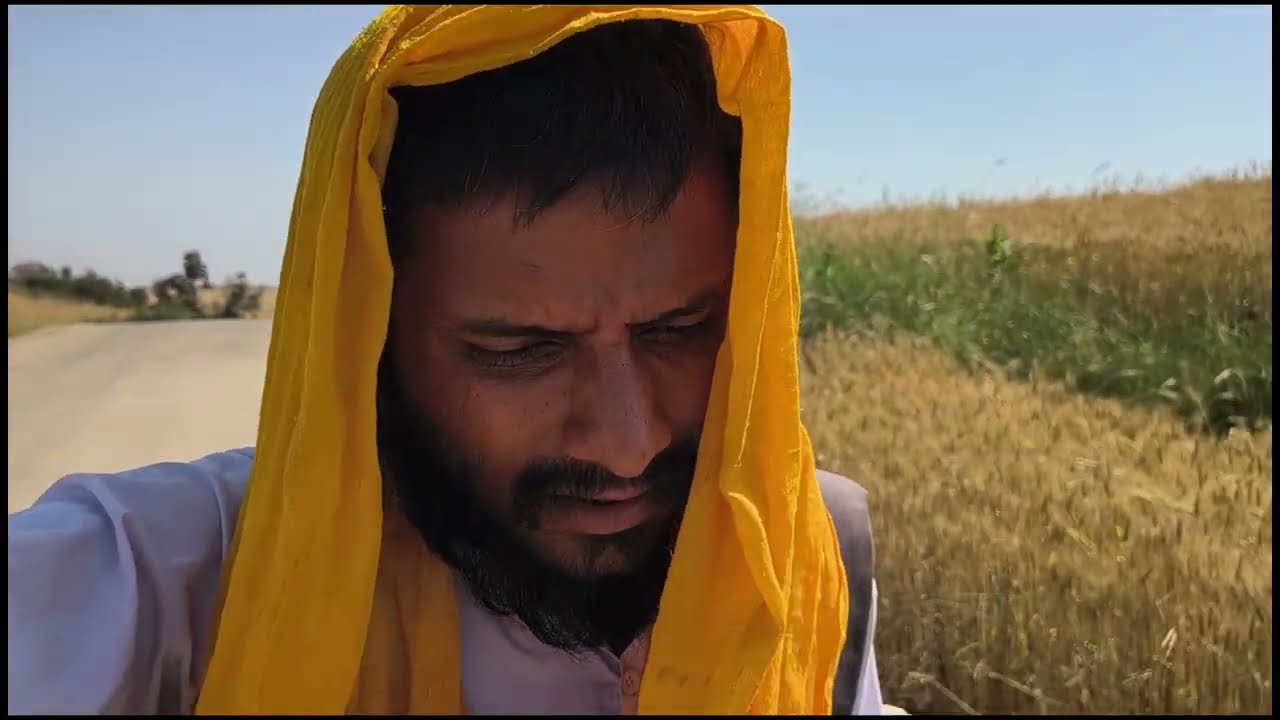 नर्मदा परिक्रमा पैदल 👣 narmda maiya 125 दिन 08/03/2026 #narmdamaiya #narmadaparikrama #narmdehar 