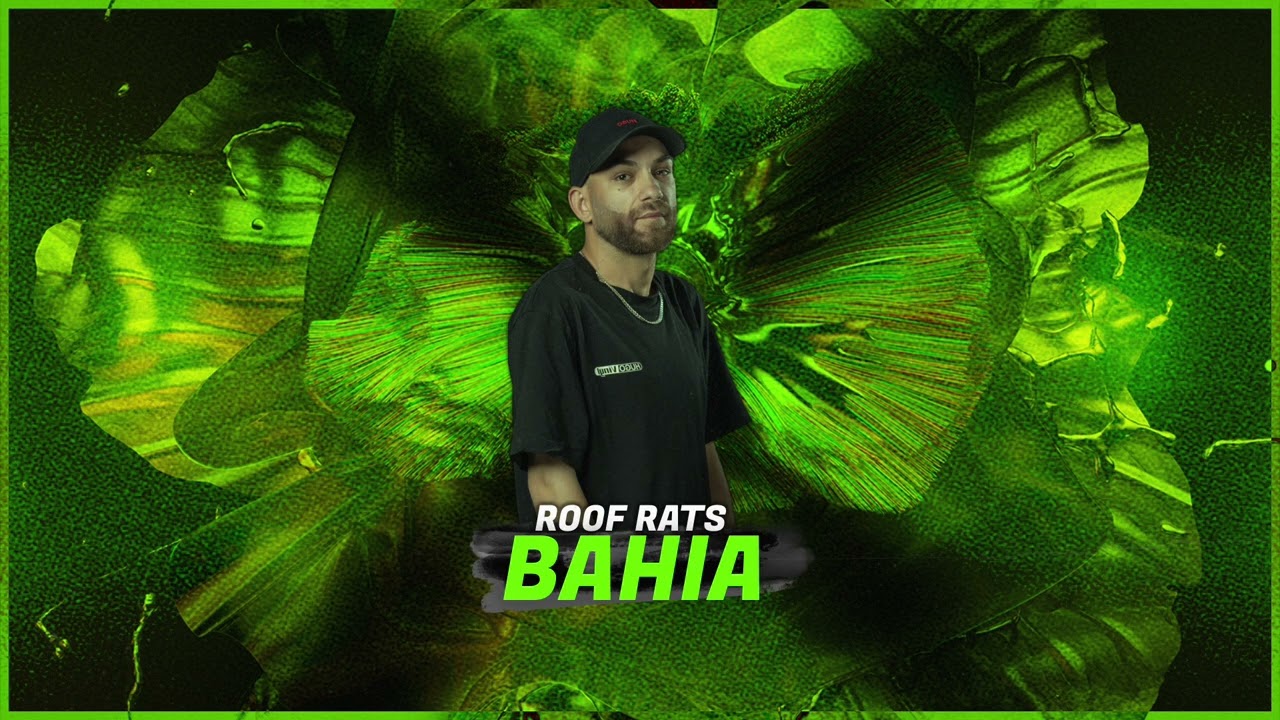 Roof Rats - BAHIA