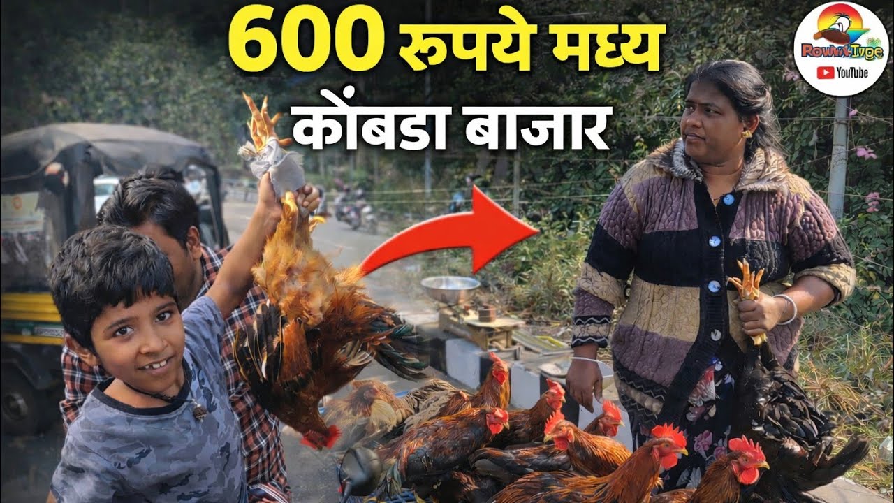 कोंबडा ₹600 स्वस्त मार्केट | मार्केट मधी भले मोठे गावठी कोंबडे #royaldadus #viral 