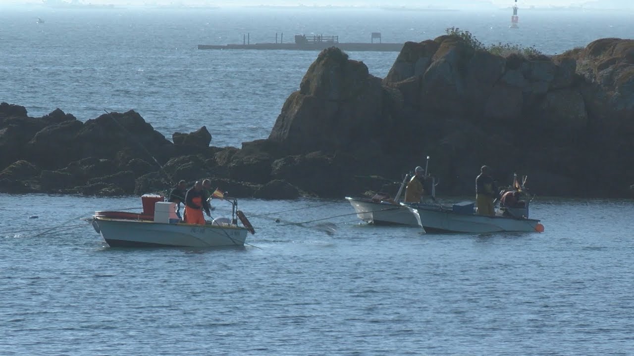 Arousa pecha a campa&ntilde;a do libre marisqueo cun balance negativo